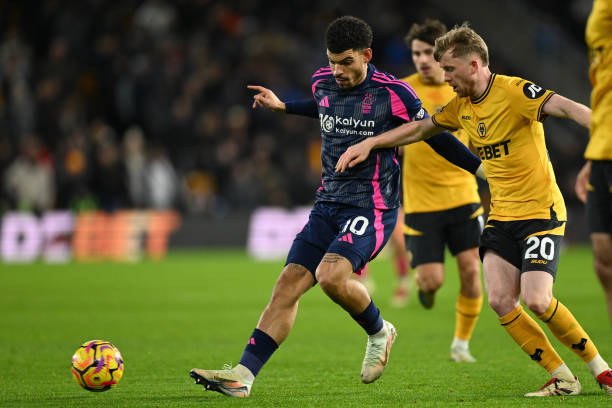 能在未来与 能在未来与