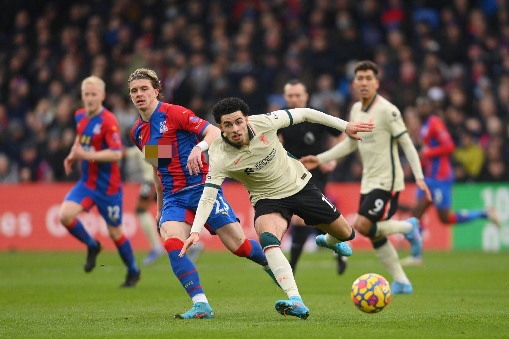 响应民生新 响应民生新